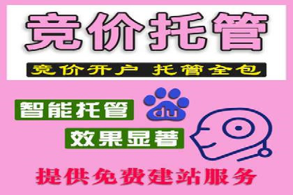 百度竞价公司与品牌合作：双赢的案例分析